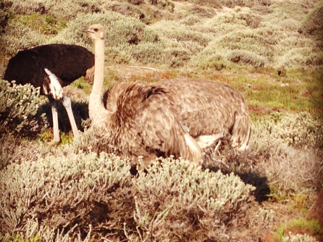 Bike and Saddle-克尼斯纳必去景点