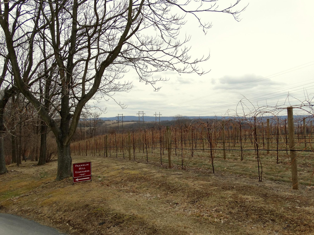 Franklin Hill Vineyards景点图片