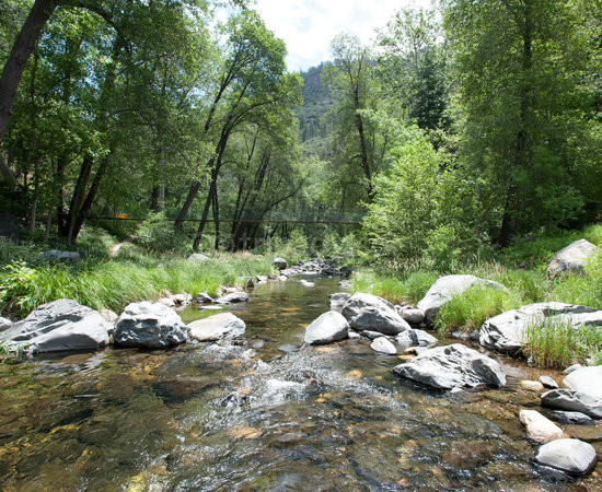 朱尼派恩度假酒店