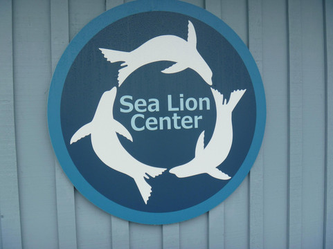Sea Lion Center-旧金山必去景点