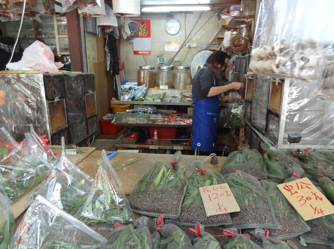 鸟市-香港必去景点