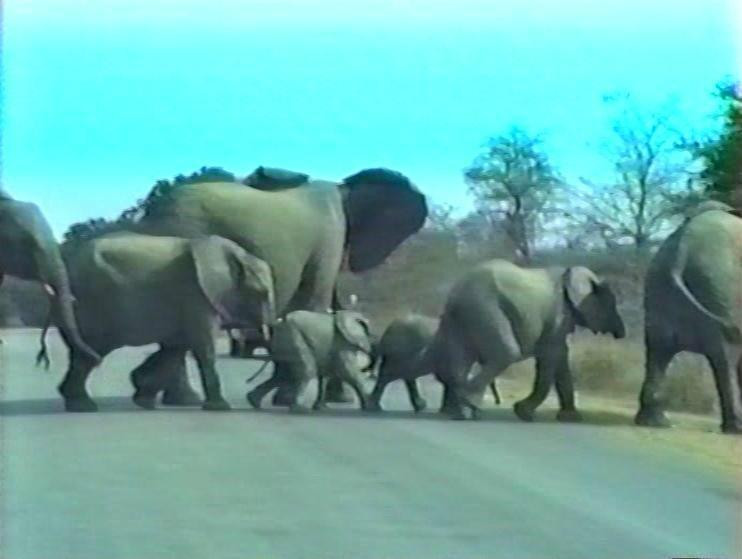 Phuza Moya Private Game Reserve-克鲁格国家公园必去景点