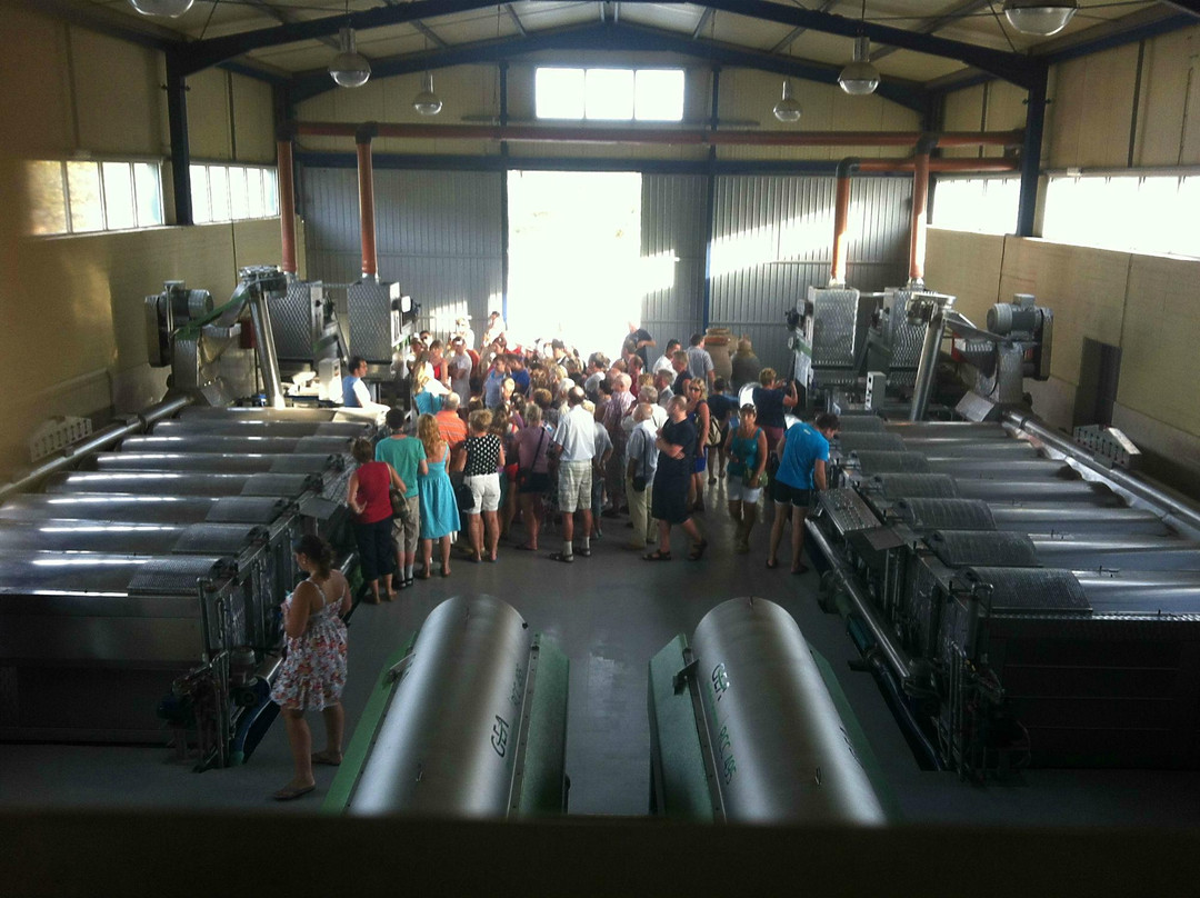 Vassilakis Estate-Neapoli必去景点