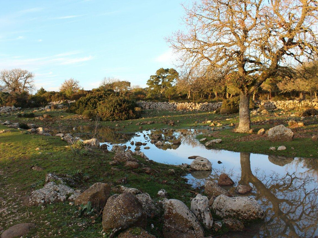 Parco della Giara Tuili-Tuili必去景点