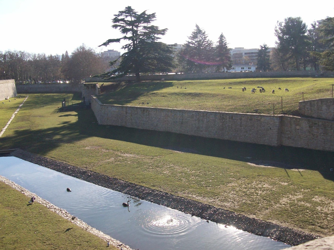 Parque de La Taconera-潘普洛纳必去景点