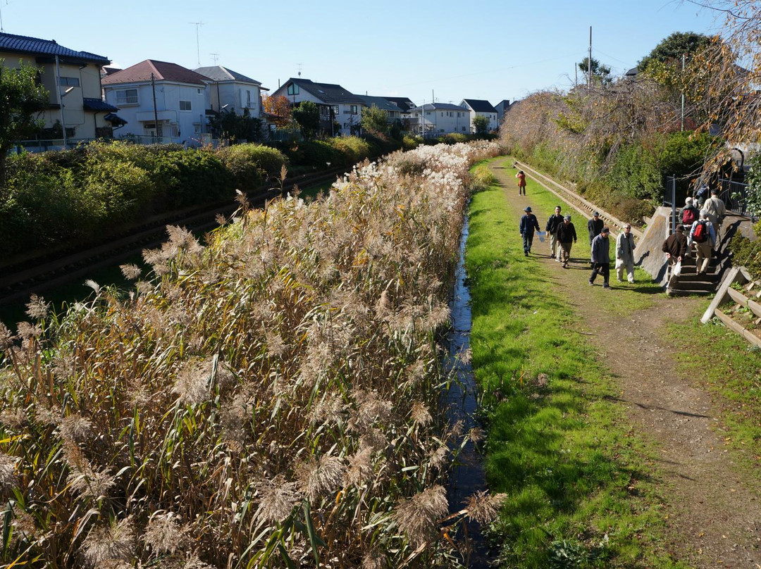 Nogawa Park-三鹰市必去景点