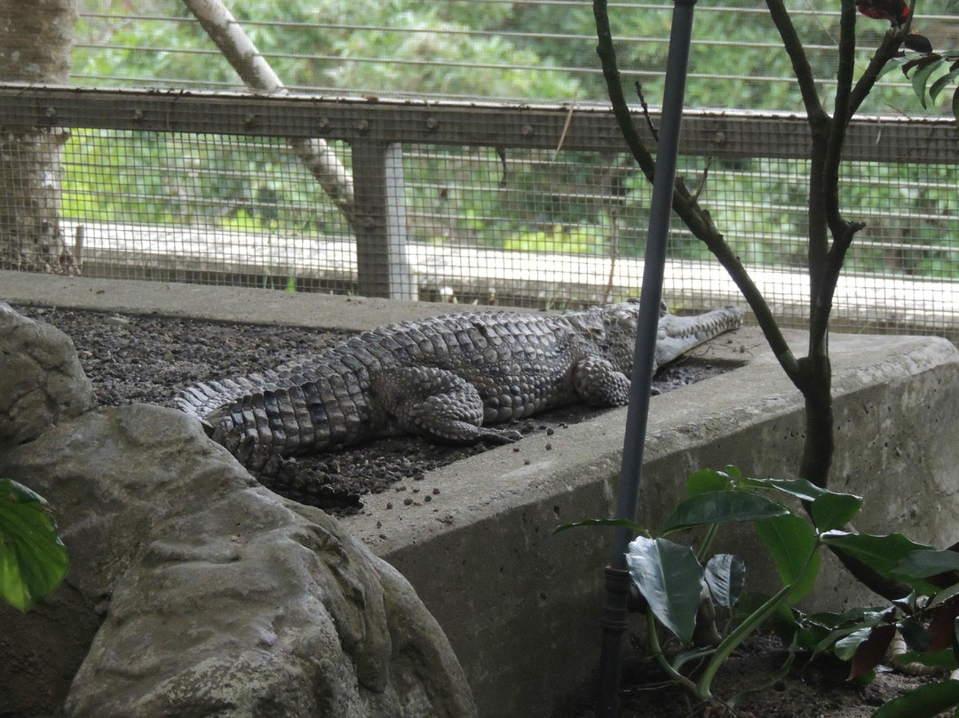 Cairns ZOOM and Wildlife Dome-凯恩斯必去景点