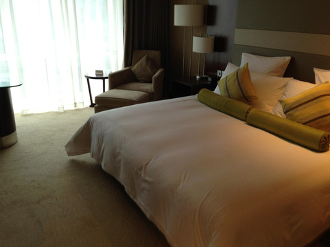 上海南桥绿地铂骊酒店主图