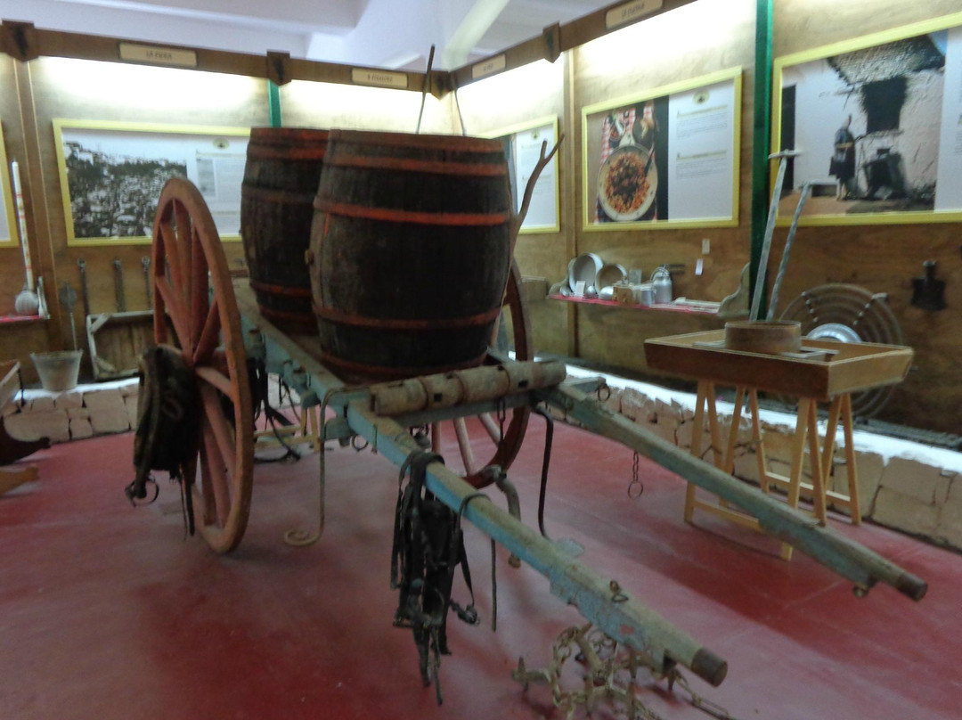 Cantina Albea winery and museum景点图片