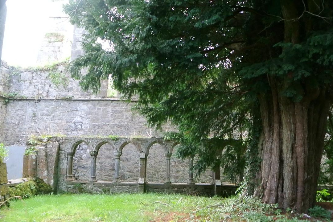 Old Franciscan Friary-Adare必去景点