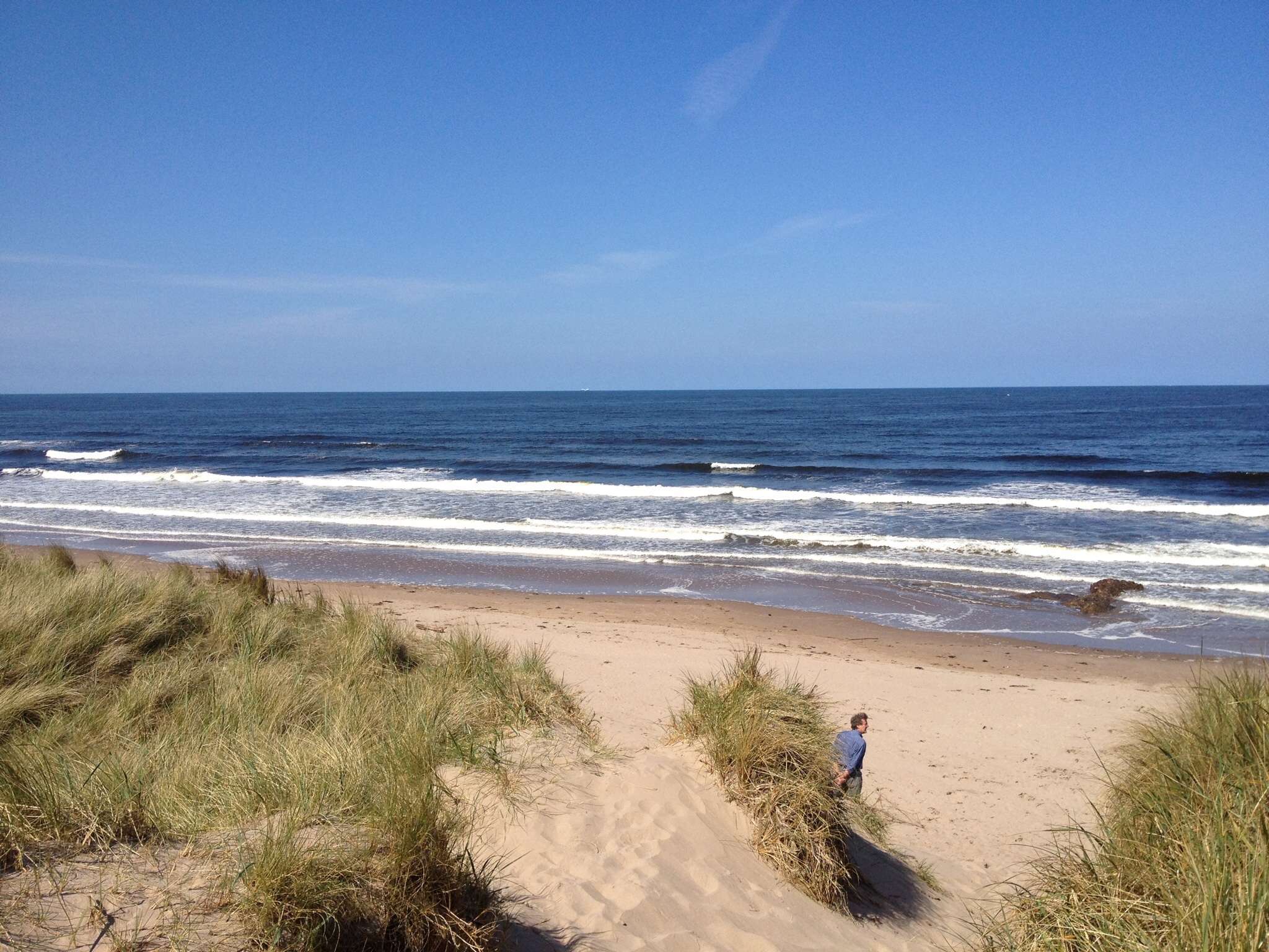 Ladythorne House-官方