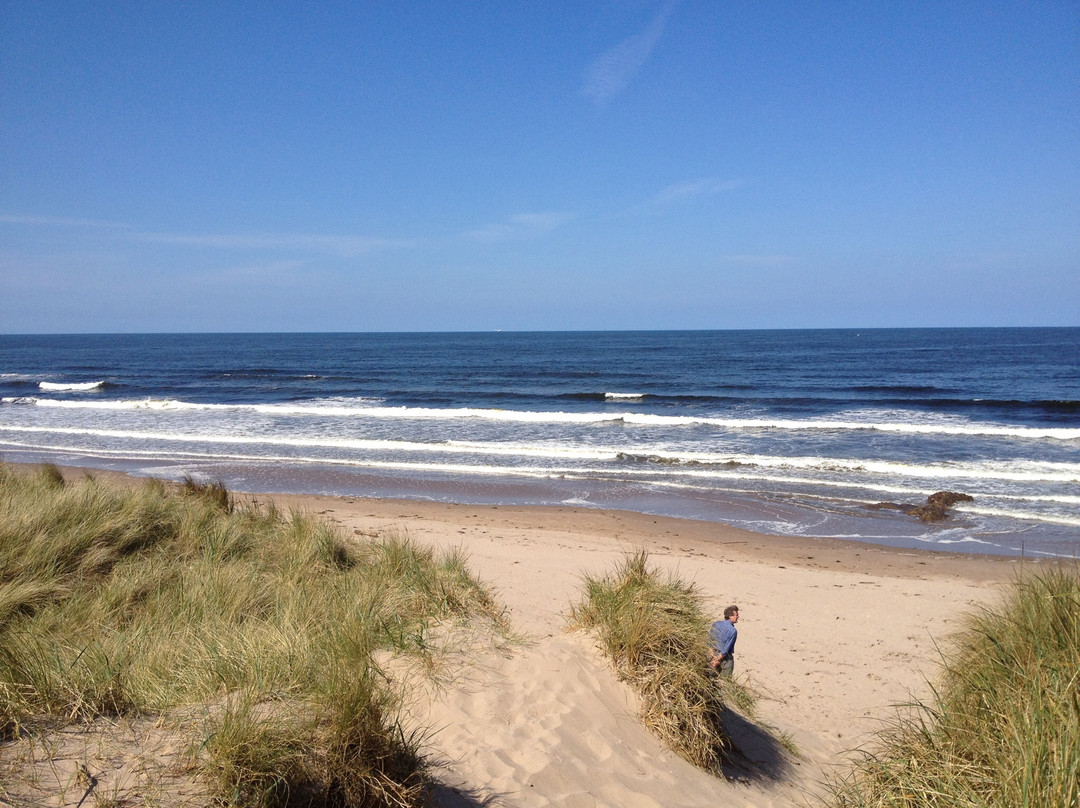 Ladythorne House主图