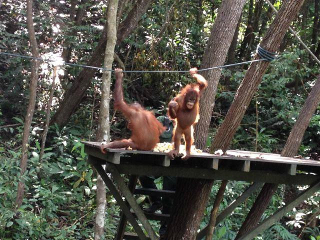 Rasa Ria Reserve By Shangri-la-斗亚兰必去景点