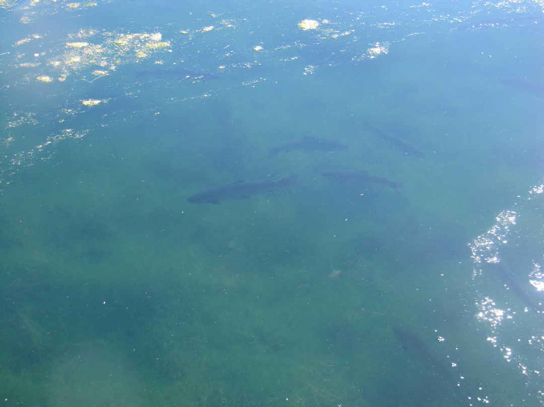 Jess Ranch Lakes-Apple Valley必去景点
