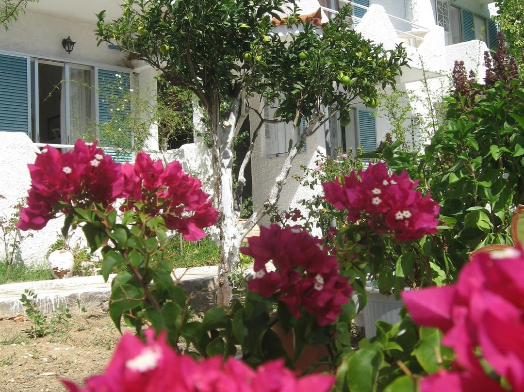 Villa Mantalena主图