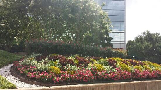 La Nouvelle Liberte-杜阿拉必去景点