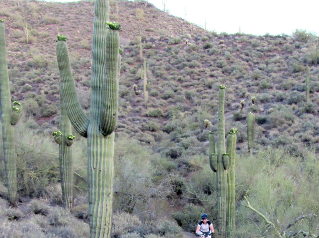 Spur Cross Cycles-洞溪必去景点