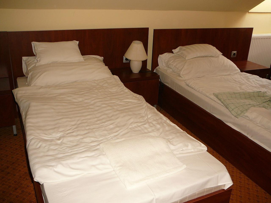 Hotel Falukozpont主图
