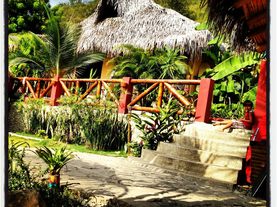 Ayampe酒店住宿-La Buena Vida Hotel- Ayampe