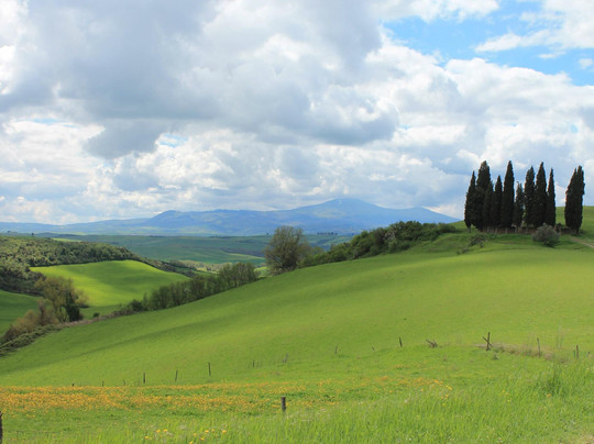 I Bike Tuscany-佛罗伦萨必去景点