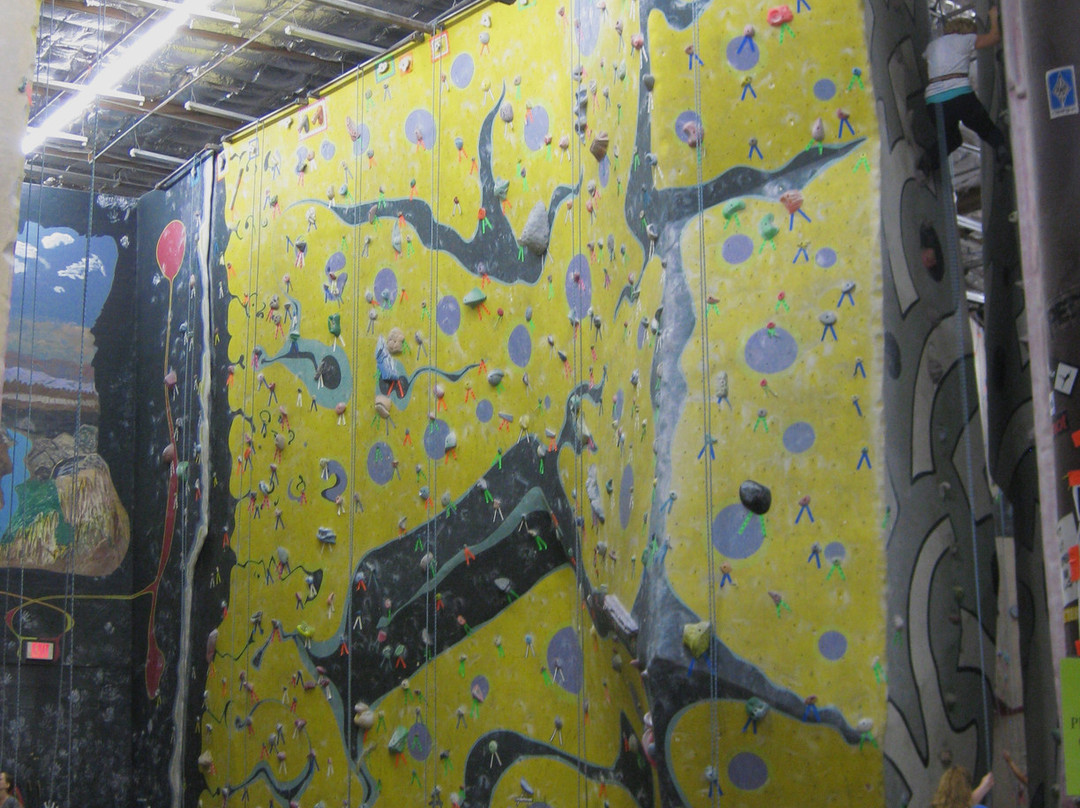 Phoenix Rock Gym-坦佩必去景点