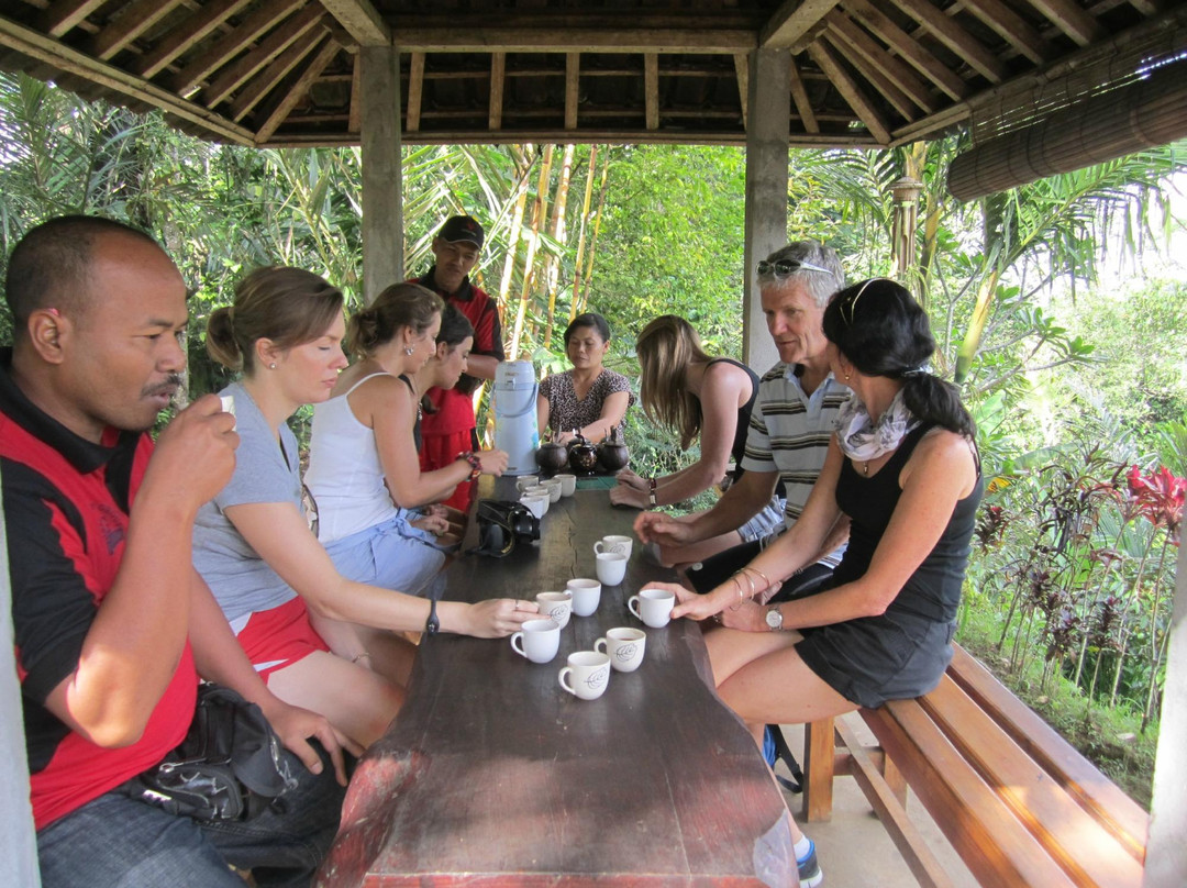 Bali Cycling Tours - Bali Moon Group景点图片