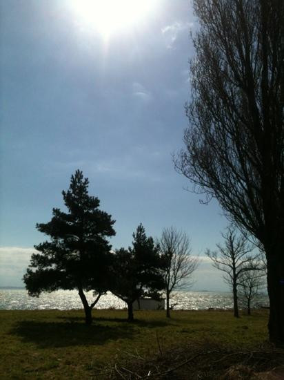 Shoebury Garrison Conservation area景点图片