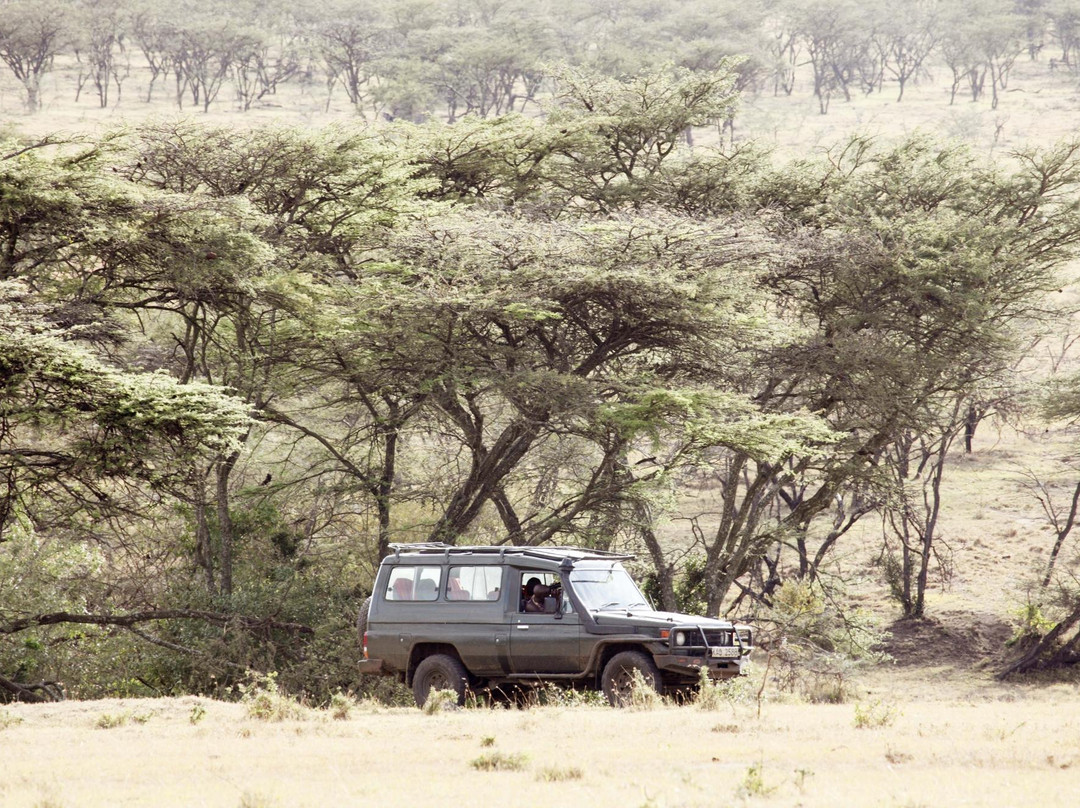 Mara Naboisho Conservancy-纳罗克必去景点