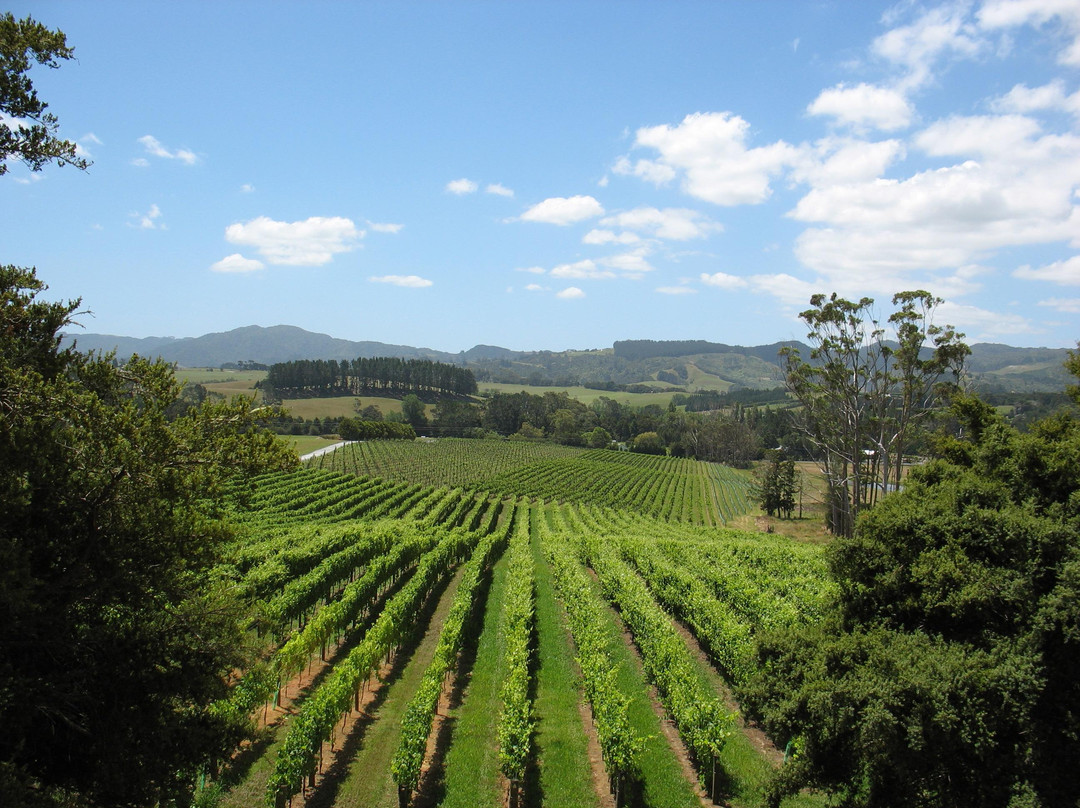 Auckland Fine Wine & Food Tours-奥克兰中心地区必去景点
