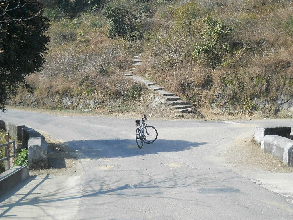 Cycling Tour: Breakfast with Migratory Birds景点图片