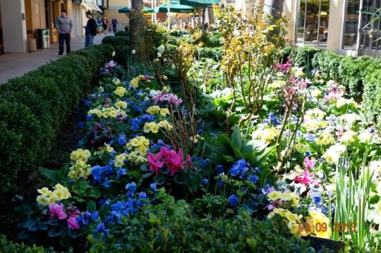 斯坦佛购物中心-帕罗奥多必去景点