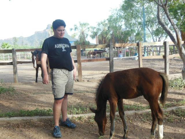 El Rancho del Desierto-圣卡洛斯必去景点