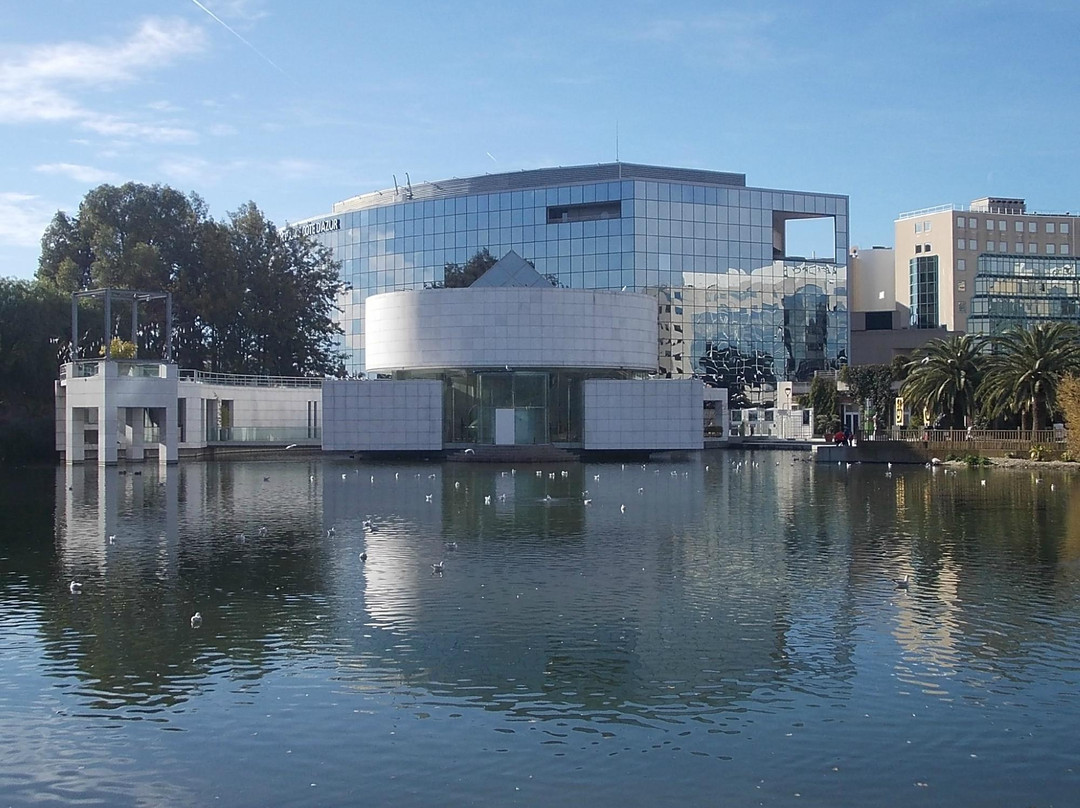 Musee des Arts Asiatiques de Nice景点图片