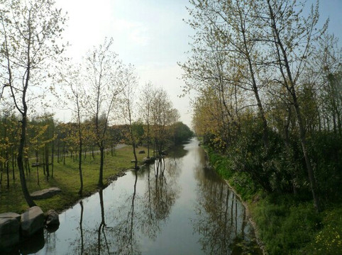 浦东高桥滨江森林公园-上海市必去景点