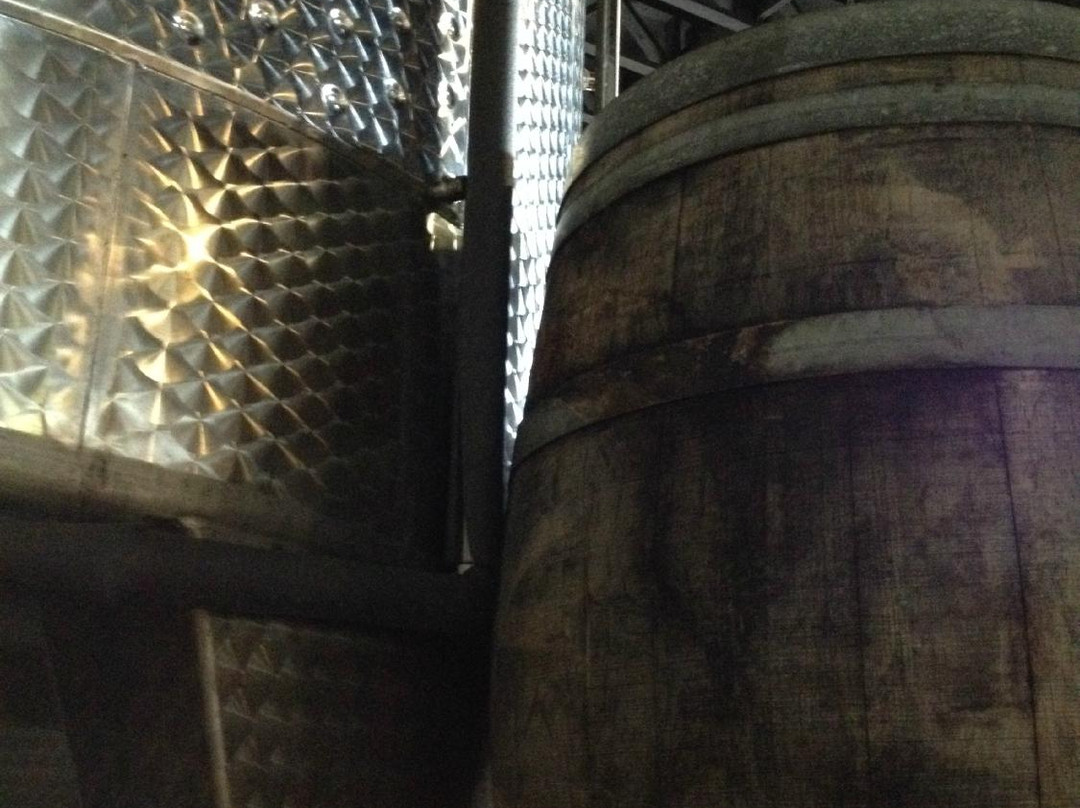 Texas Hill Country Wineries-Johnson City必去景点