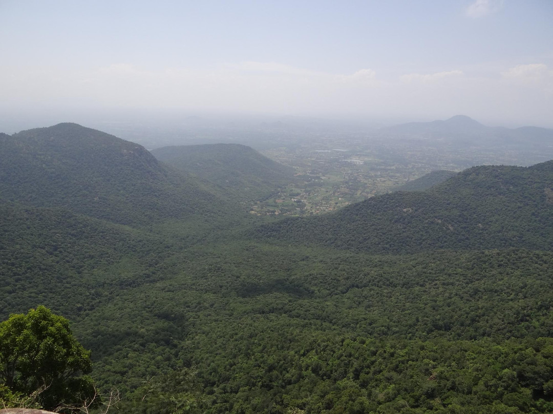 Karadiyur View Point景点图片