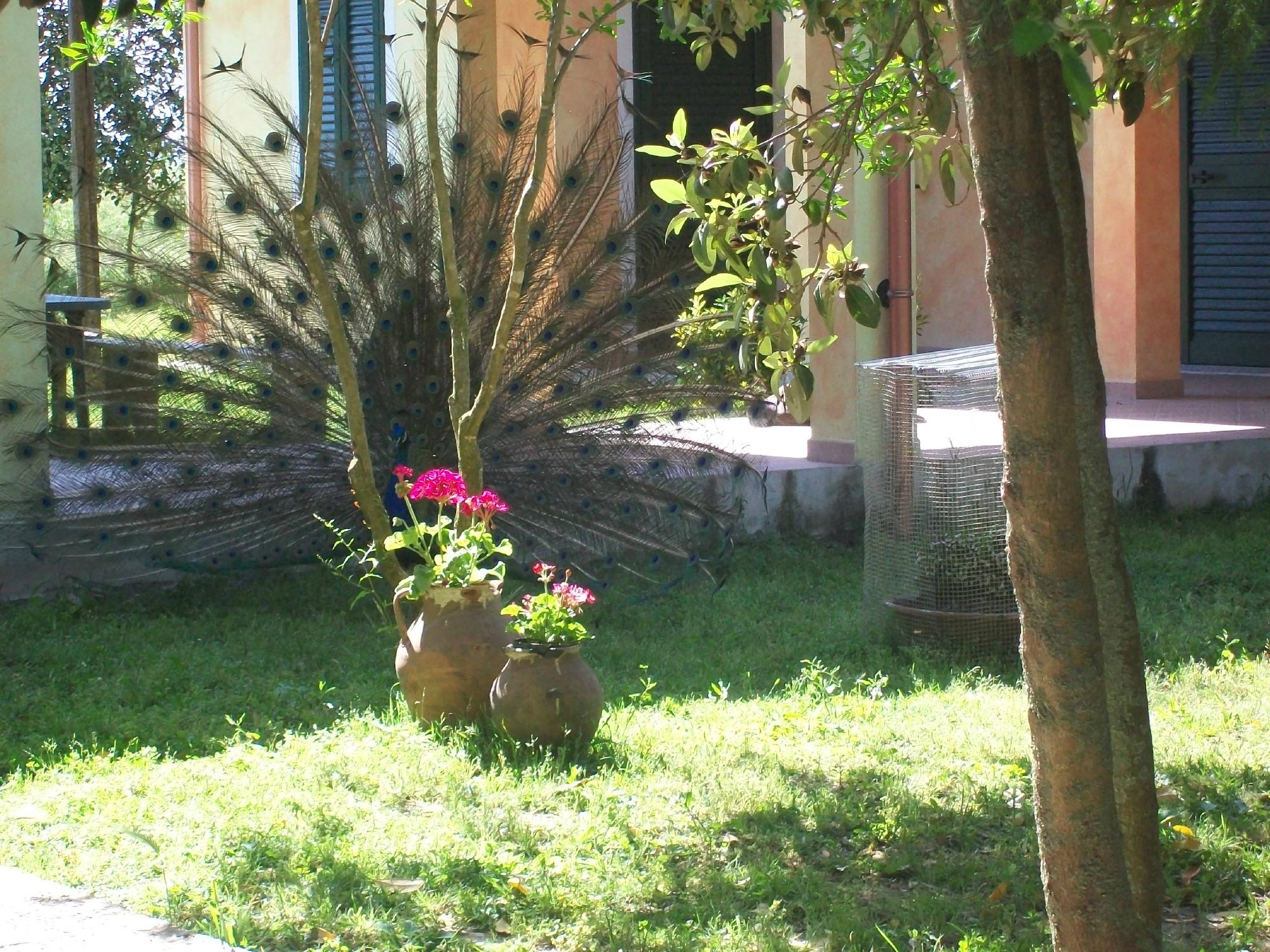 Agriturismo Serras D'Ala-客卧