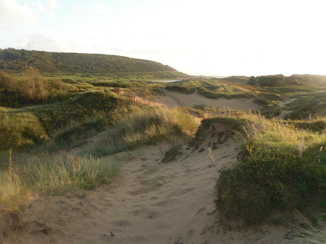 Merthyr Mawr Sand Dunes景点图片