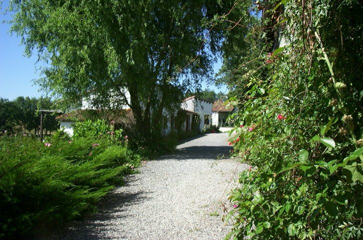 Le Pit-官方