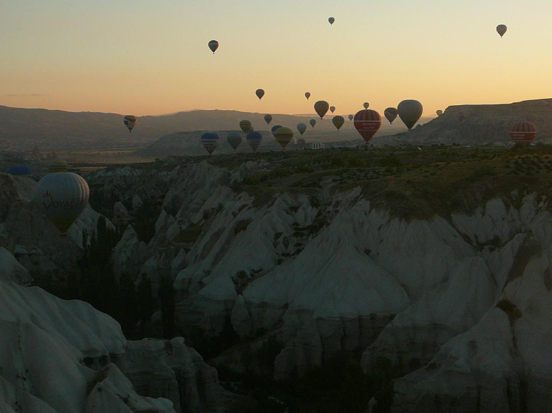 Red Valley Travel Agency Daily Tours景点图片