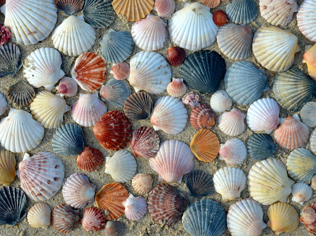 The Stonehouse主图