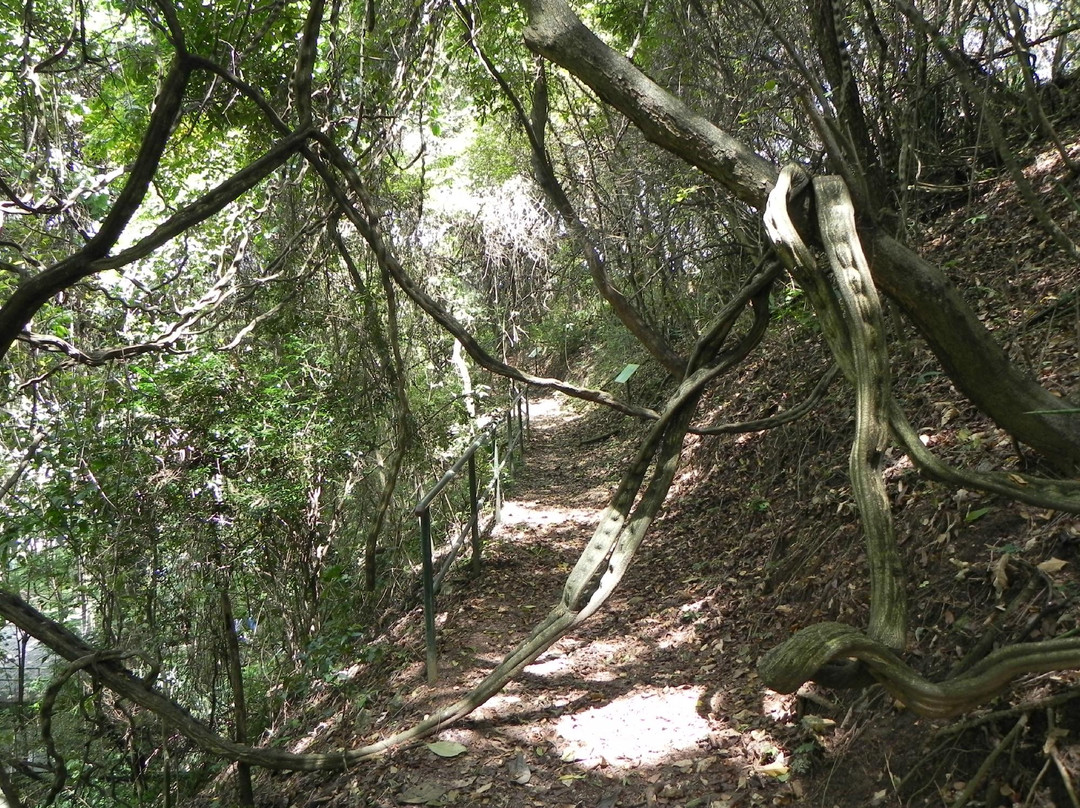 Jardín Botánico-加拉加斯必去景点