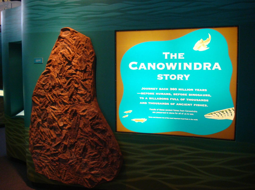 The Age of Fishes Museum-Canowindra必去景点