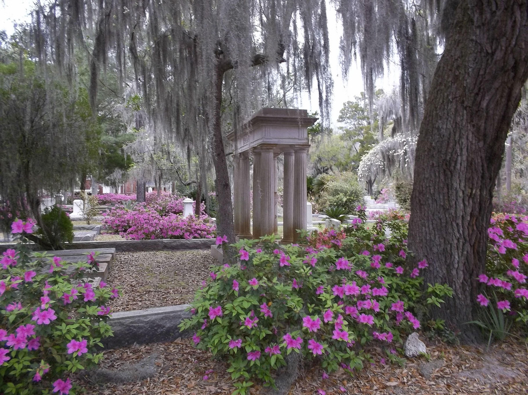 Shannon Scott Tours-萨凡纳必去景点