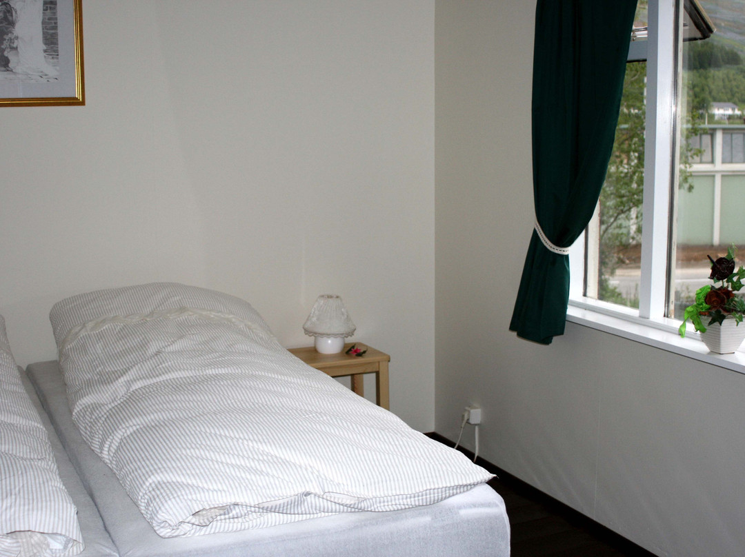 Hofdi Guesthouse主图