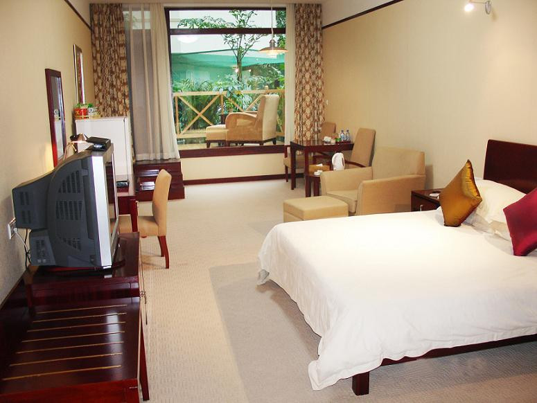 鸢飞大酒店主图