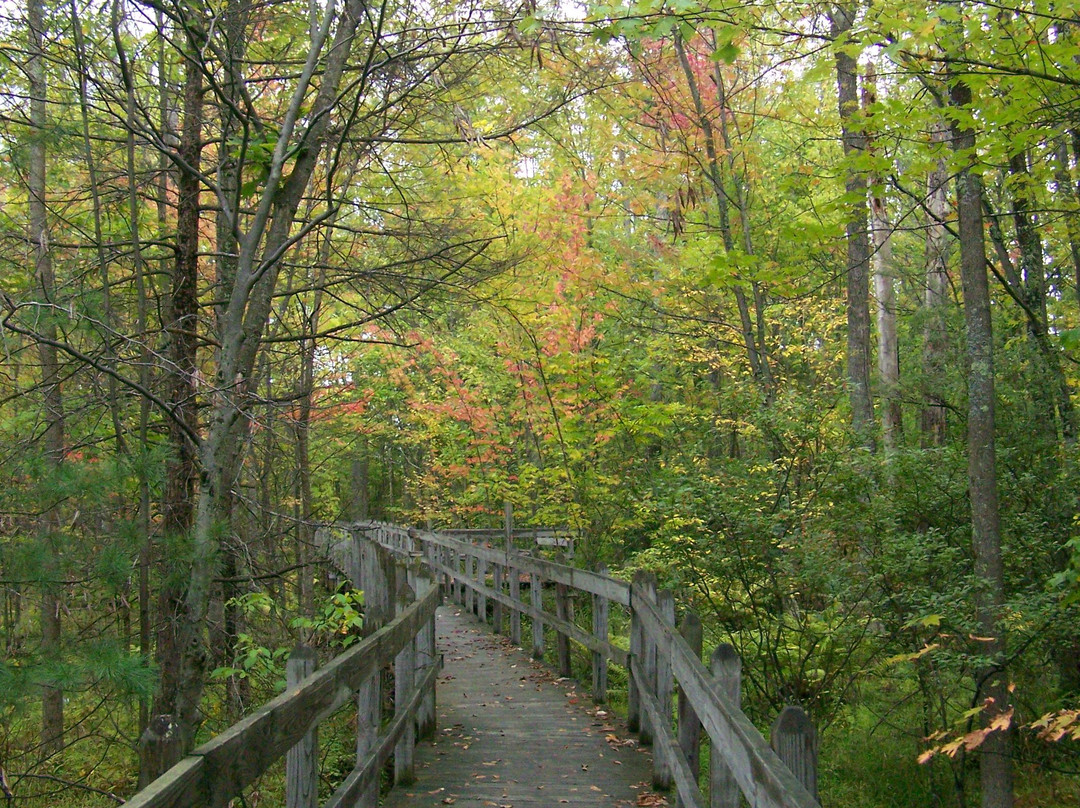 Cornell Lab of Ornithology景点图片