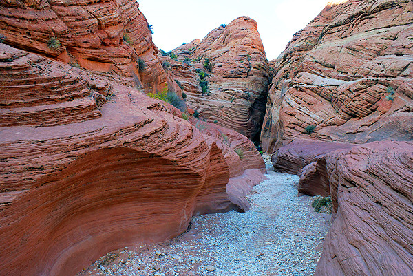 Wire Pass Trail (Buckskin Gulch Access)-卡纳布必去景点