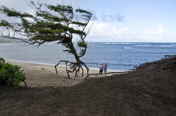 Open Eye Tours & Photos-毛伊岛必去景点