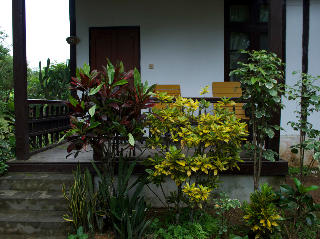 Vesali Resort Hotel主图